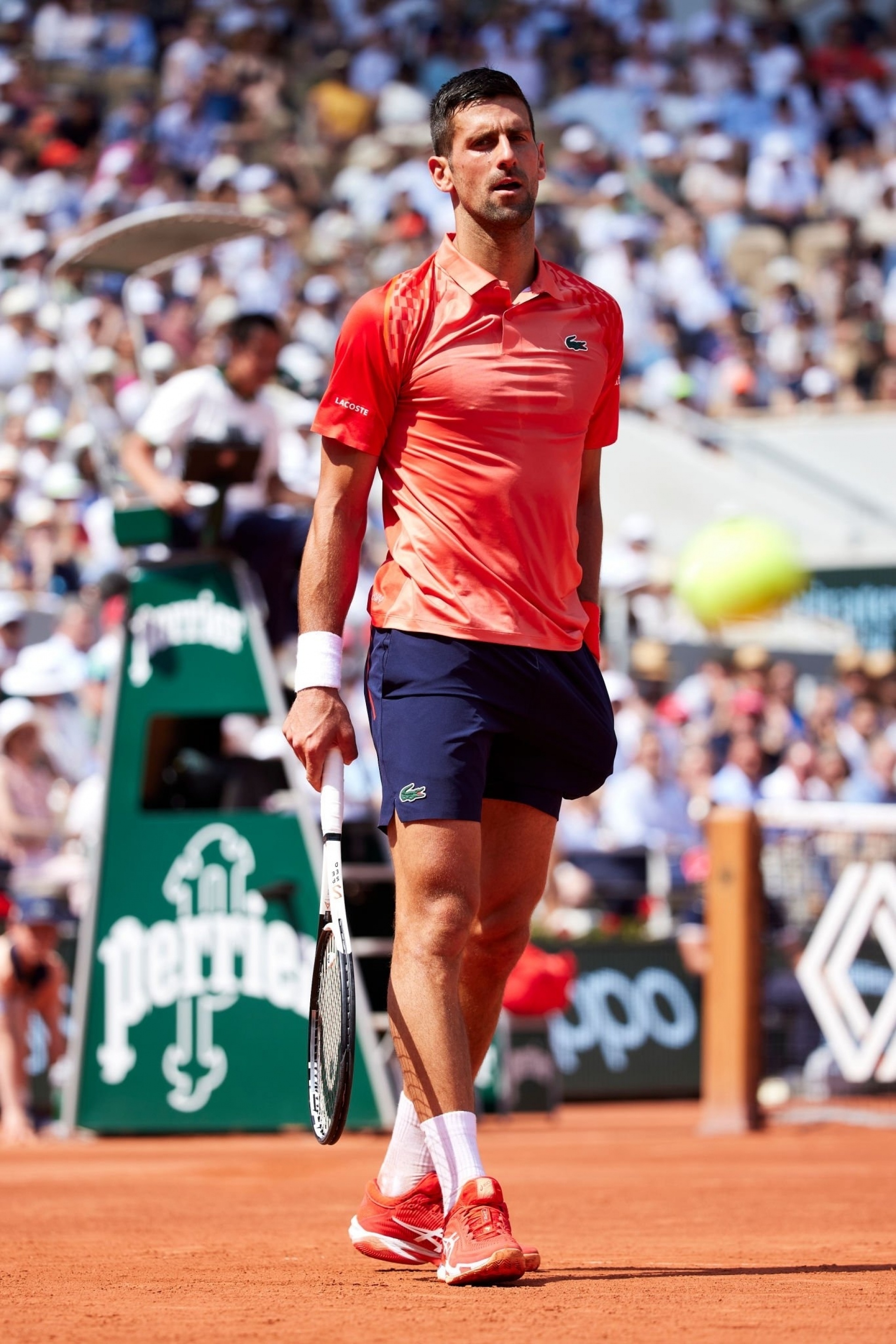 联合杯逆转法网,德约科维奇点燃赛场 联合杯逆转法网,德约科维奇点燃赛场