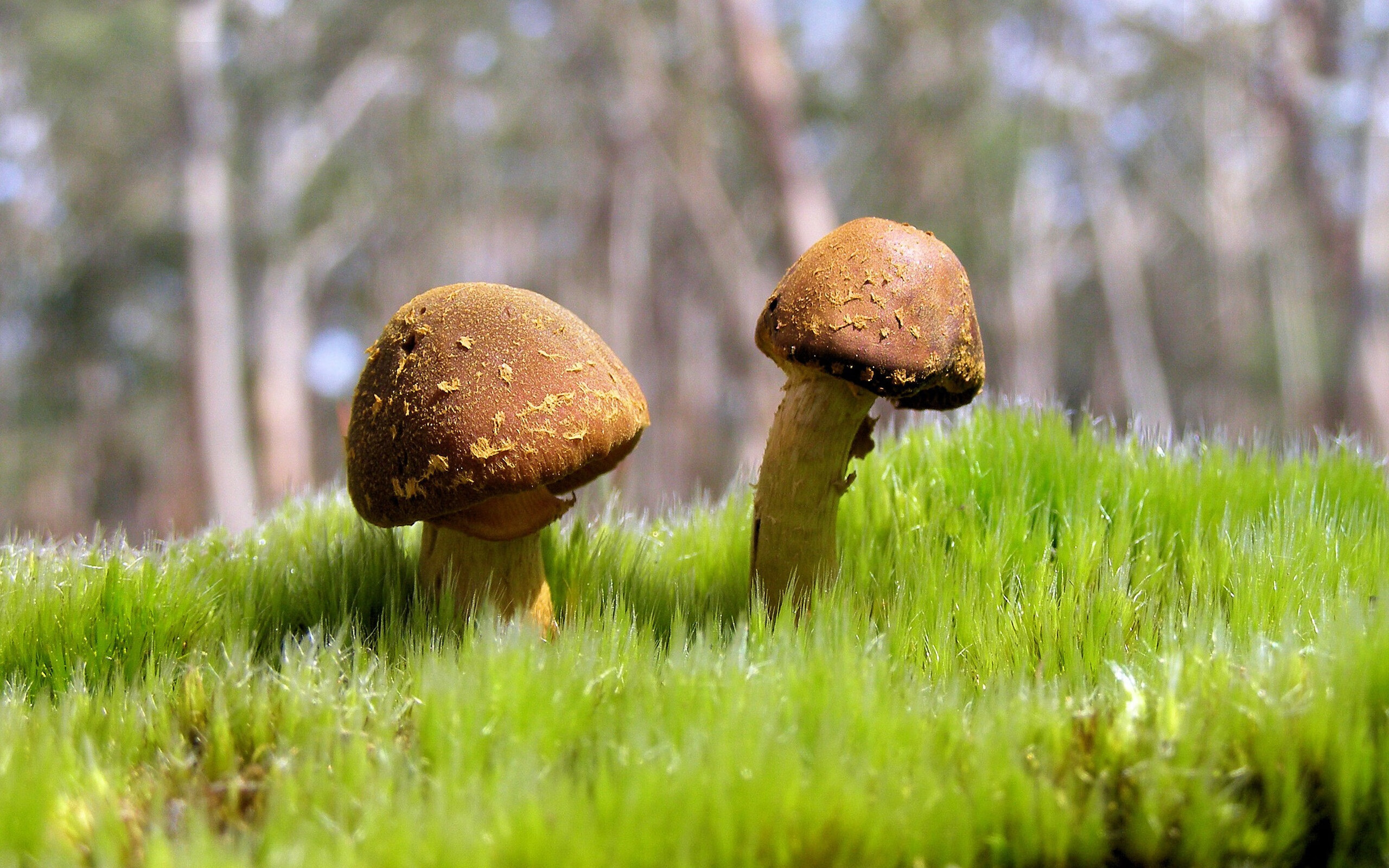 2026世界杯焦点战前瞻，当太阳打穿雷霆—战术革新与时代对决