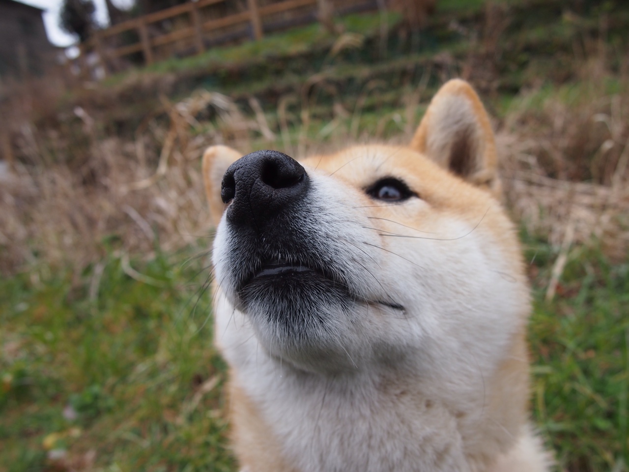贝恩主宰赛场！热火力克雄鹿，全场最佳无争议