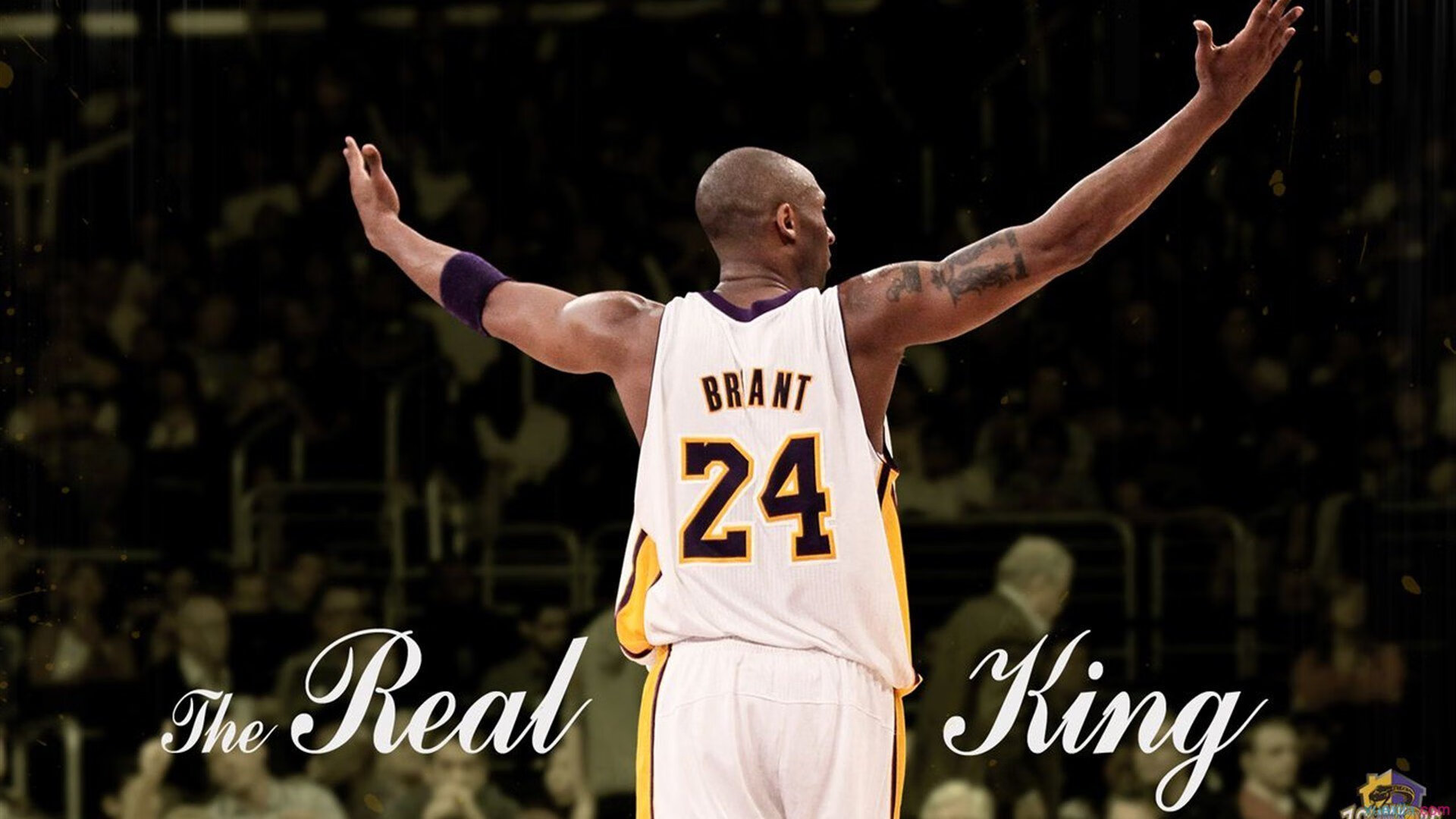 双线战场，王者接管，森林狼的团队压制与塔图姆的赛道统治